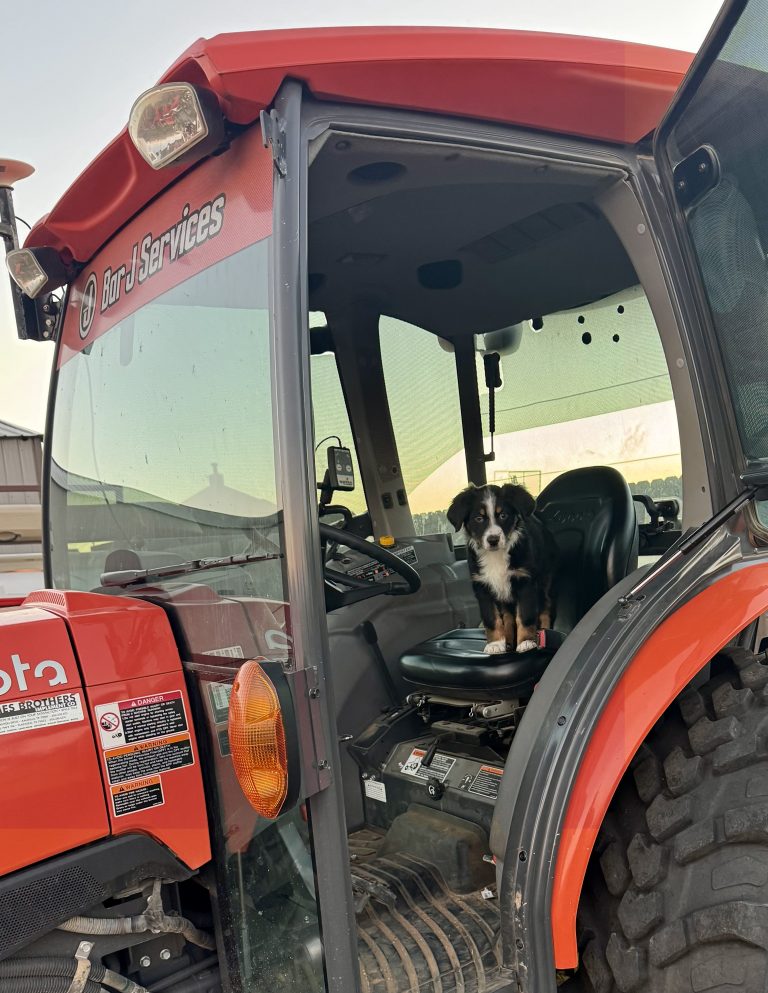 {"type":"elementor","siteurl":"https://www.barjservices.com/wp-json/","elements":[{"id":"81b7a0f","elType":"widget","isInner":false,"isLocked":false,"settings":{"image":{"url":"https://www.barjservices.com/wp-content/uploads/2025/11/Tito-scaled.webp","id":1755,"size":"","alt":"Tito","source":"library"},"width":{"unit":"%","size":275,"sizes":[]},"space":{"unit":"px","size":275,"sizes":[]},"space_tablet":{"unit":"px","size":180,"sizes":[]},"space_mobile":{"unit":"px","size":"","sizes":[]},"height":{"unit":"px","size":275,"sizes":[]},"object-fit":"cover","image_border_border":"solid","image_border_width":{"unit":"px","top":"3","right":"3","bottom":"3","left":"3","isLinked":true},"image_border_radius":{"unit":"%","top":"100","right":"100","bottom":"100","left":"100","isLinked":true},"image_border_radius_tablet":{"unit":"%","top":"","right":"","bottom":"","left":"","isLinked":true},"image_border_radius_mobile":{"unit":"%","top":"","right":"","bottom":"","left":"","isLinked":true},"_element_width":"initial","_border_border":"none","_border_color":"#FFFFFF","_border_radius":{"unit":"%","top":"","right":"","bottom":"","left":"","isLinked":true},"_border_radius_tablet":{"unit":"%","top":"","right":"","bottom":"","left":"","isLinked":true},"_border_radius_mobile":{"unit":"%","top":"","right":"","bottom":"","left":"","isLinked":true},"__globals__":{"image_border_color":"globals/colors?id=primary"},"image_size":"medium_large","height_tablet":{"unit":"px","size":180,"sizes":[]},"image_custom_dimension":{"width":"","height":""},"caption_source":"none","caption":"","link_to":"none","link":{"url":"","is_external":"","nofollow":"","custom_attributes":""},"open_lightbox":"default","align":"","align_tablet":"","align_mobile":"","width_tablet":{"unit":"%","size":"","sizes":[]},"width_mobile":{"unit":"%","size":"","sizes":[]},"height_mobile":{"unit":"px","size":"","sizes":[]},"object-fit_tablet":"","object-fit_mobile":"","object-position":"center center","object-position_tablet":"","object-position_mobile":"","opacity":{"unit":"px","size":"","sizes":[]},"css_filters_css_filter":"","css_filters_blur":{"unit":"px","size":0,"sizes":[]},"css_filters_brightness":{"unit":"px","size":100,"sizes":[]},"css_filters_contrast":{"unit":"px","size":100,"sizes":[]},"css_filters_saturate":{"unit":"px","size":100,"sizes":[]},"css_filters_hue":{"unit":"px","size":0,"sizes":[]},"opacity_hover":{"unit":"px","size":"","sizes":[]},"css_filters_hover_css_filter":"","css_filters_hover_blur":{"unit":"px","size":0,"sizes":[]},"css_filters_hover_brightness":{"unit":"px","size":100,"sizes":[]},"css_filters_hover_contrast":{"unit":"px","size":100,"sizes":[]},"css_filters_hover_saturate":{"unit":"px","size":100,"sizes":[]},"css_filters_hover_hue":{"unit":"px","size":0,"sizes":[]},"background_hover_transition":{"unit":"px","size":"","sizes":[]},"hover_animation":"","image_border_width_tablet":{"unit":"px","top":"","right":"","bottom":"","left":"","isLinked":true},"image_border_width_mobile":{"unit":"px","top":"","right":"","bottom":"","left":"","isLinked":true},"image_border_color":"","image_box_shadow_box_shadow_type":"","image_box_shadow_box_shadow":{"horizontal":0,"vertical":0,"blur":10,"spread":0,"color":"rgba(0,0,0,0.5)"},"caption_align":"","caption_align_tablet":"","caption_align_mobile":"","text_color":"","caption_background_color":"","caption_typography_typography":"","caption_typography_font_family":"","caption_typography_font_size":{"unit":"px","size":"","sizes":[]},"caption_typography_font_size_tablet":{"unit":"px","size":"","sizes":[]},"caption_typography_font_size_mobile":{"unit":"px","size":"","sizes":[]},"caption_typography_font_weight":"","caption_typography_weight":{"unit":"px","size":"","sizes":[]},"caption_typography_weight_tablet":{"unit":"px","size":"","sizes":[]},"caption_typography_weight_mobile":{"unit":"px","size":"","sizes":[]},"caption_typography_font_style":"","caption_typography_text_transform":"","caption_typography_text_decoration":"","caption_typography_line_height":{"unit":"px","size":"","sizes":[]},"caption_typography_line_height_tablet":{"unit":"em","size":"","sizes":[]},"caption_typography_line_height_mobile":{"unit":"em","size":"","sizes":[]},"caption_typography_letter_spacing":{"unit":"px","size":"","sizes":[]},"caption_typography_letter_spacing_tablet":{"unit":"px","size":"","sizes":[]},"caption_typography_letter_spacing_mobile":{"unit":"px","size":"","sizes":[]},"caption_typography_word_spacing":{"unit":"px","size":"","sizes":[]},"caption_typography_word_spacing_tablet":{"unit":"em","size":"","sizes":[]},"caption_typography_word_spacing_mobile":{"unit":"em","size":"","sizes":[]},"caption_text_shadow_text_shadow_type":"","caption_text_shadow_text_shadow":{"horizontal":0,"vertical":0,"blur":10,"color":"rgba(0,0,0,0.3)"},"caption_space":{"unit":"px","size":"","sizes":[]},"caption_space_tablet":{"unit":"px","size":"","sizes":[]},"caption_space_mobile":{"unit":"px","size":"","sizes":[]},"_title":"","_margin":{"unit":"px","top":"","right":"","bottom":"","left":"","isLinked":true},"_margin_tablet":{"unit":"px","top":"","right":"","bottom":"","left":"","isLinked":true},"_margin_mobile":{"unit":"px","top":"","right":"","bottom":"","left":"","isLinked":true},"_padding":{"unit":"px","top":"","right":"","bottom":"","left":"","isLinked":true},"_padding_tablet":{"unit":"px","top":"","right":"","bottom":"","left":"","isLinked":true},"_padding_mobile":{"unit":"px","top":"","right":"","bottom":"","left":"","isLinked":true},"_element_width_tablet":"","_element_width_mobile":"","_element_custom_width":{"unit":"%","size":"","sizes":[]},"_element_custom_width_tablet":{"unit":"px","size":"","sizes":[]},"_element_custom_width_mobile":{"unit":"px","size":"","sizes":[]},"_grid_column":"","_grid_column_tablet":"","_grid_column_mobile":"","_grid_column_custom":"","_grid_column_custom_tablet":"","_grid_column_custom_mobile":"","_grid_row":"","_grid_row_tablet":"","_grid_row_mobile":"","_grid_row_custom":"","_grid_row_custom_tablet":"","_grid_row_custom_mobile":"","_flex_align_self":"","_flex_align_self_tablet":"","_flex_align_self_mobile":"","_flex_order":"","_flex_order_tablet":"","_flex_order_mobile":"","_flex_order_custom":"","_flex_order_custom_tablet":"","_flex_order_custom_mobile":"","_flex_size":"","_flex_size_tablet":"","_flex_size_mobile":"","_flex_grow":1,"_flex_grow_tablet":"","_flex_grow_mobile":"","_flex_shrink":1,"_flex_shrink_tablet":"","_flex_shrink_mobile":"","_element_vertical_align":"","_element_vertical_align_tablet":"","_element_vertical_align_mobile":"","_position":"","_offset_orientation_h":"start","_offset_x":{"unit":"px","size":0,"sizes":[]},"_offset_x_tablet":{"unit":"px","size":"","sizes":[]},"_offset_x_mobile":{"unit":"px","size":"","sizes":[]},"_offset_x_end":{"unit":"px","size":0,"sizes":[]},"_offset_x_end_tablet":{"unit":"px","size":"","sizes":[]},"_offset_x_end_mobile":{"unit":"px","size":"","sizes":[]},"_offset_orientation_v":"start","_offset_y":{"unit":"px","size":0,"sizes":[]},"_offset_y_tablet":{"unit":"px","size":"","sizes":[]},"_offset_y_mobile":{"unit":"px","size":"","sizes":[]},"_offset_y_end":{"unit":"px","size":0,"sizes":[]},"_offset_y_end_tablet":{"unit":"px","size":"","sizes":[]},"_offset_y_end_mobile":{"unit":"px","size":"","sizes":[]},"_z_index":"","_z_index_tablet":"","_z_index_mobile":"","_element_id":"","_css_classes":"","e_display_conditions":"","_element_cache":"","motion_fx_motion_fx_scrolling":"","motion_fx_translateY_effect":"","motion_fx_translateY_direction":"","motion_fx_translateY_speed":{"unit":"px","size":4,"sizes":[]},"motion_fx_translateY_affectedRange":{"unit":"%","size":"","sizes":{"start":0,"end":100}},"motion_fx_translateX_effect":"","motion_fx_translateX_direction":"","motion_fx_translateX_speed":{"unit":"px","size":4,"sizes":[]},"motion_fx_translateX_affectedRange":{"unit":"%","size":"","sizes":{"start":0,"end":100}},"motion_fx_opacity_effect":"","motion_fx_opacity_direction":"out-in","motion_fx_opacity_level":{"unit":"px","size":10,"sizes":[]},"motion_fx_opacity_range":{"unit":"%","size":"","sizes":{"start":20,"end":80}},"motion_fx_blur_effect":"","motion_fx_blur_direction":"out-in","motion_fx_blur_level":{"unit":"px","size":7,"sizes":[]},"motion_fx_blur_range":{"unit":"%","size":"","sizes":{"start":20,"end":80}},"motion_fx_rotateZ_effect":"","motion_fx_rotateZ_direction":"","motion_fx_rotateZ_speed":{"unit":"px","size":1,"sizes":[]},"motion_fx_rotateZ_affectedRange":{"unit":"%","size":"","sizes":{"start":0,"end":100}},"motion_fx_scale_effect":"","motion_fx_scale_direction":"out-in","motion_fx_scale_speed":{"unit":"px","size":4,"sizes":[]},"motion_fx_scale_range":{"unit":"%","size":"","sizes":{"start":20,"end":80}},"motion_fx_transform_origin_x":"center","motion_fx_transform_origin_y":"center","motion_fx_devices":["desktop","tablet","mobile"],"motion_fx_range":"","motion_fx_motion_fx_mouse":"","motion_fx_mouseTrack_effect":"","motion_fx_mouseTrack_direction":"","motion_fx_mouseTrack_speed":{"unit":"px","size":1,"sizes":[]},"motion_fx_tilt_effect":"","motion_fx_tilt_direction":"","motion_fx_tilt_speed":{"unit":"px","size":4,"sizes":[]},"handle_motion_fx_asset_loading":"","sticky":"","sticky_on":["desktop","tablet","mobile"],"sticky_offset":0,"sticky_offset_tablet":"","sticky_offset_mobile":"","sticky_effects_offset":0,"sticky_effects_offset_tablet":"","sticky_effects_offset_mobile":"","sticky_anchor_link_offset":0,"sticky_anchor_link_offset_tablet":"","sticky_anchor_link_offset_mobile":"","sticky_parent":"","_animation":"","_animation_tablet":"","_animation_mobile":"","animation_duration":"","_animation_delay":"","_transform_rotate_popover":"","_transform_rotateZ_effect":{"unit":"px","size":"","sizes":[]},"_transform_rotateZ_effect_tablet":{"unit":"deg","size":"","sizes":[]},"_transform_rotateZ_effect_mobile":{"unit":"deg","size":"","sizes":[]},"_transform_rotate_3d":"","_transform_rotateX_effect":{"unit":"px","size":"","sizes":[]},"_transform_rotateX_effect_tablet":{"unit":"deg","size":"","sizes":[]},"_transform_rotateX_effect_mobile":{"unit":"deg","size":"","sizes":[]},"_transform_rotateY_effect":{"unit":"px","size":"","sizes":[]},"_transform_rotateY_effect_tablet":{"unit":"deg","size":"","sizes":[]},"_transform_rotateY_effect_mobile":{"unit":"deg","size":"","sizes":[]},"_transform_perspective_effect":{"unit":"px","size":"","sizes":[]},"_transform_perspective_effect_tablet":{"unit":"px","size":"","sizes":[]},"_transform_perspective_effect_mobile":{"unit":"px","size":"","sizes":[]},"_transform_translate_popover":"","_transform_translateX_effect":{"unit":"px","size":"","sizes":[]},"_transform_translateX_effect_tablet":{"unit":"px","size":"","sizes":[]},"_transform_translateX_effect_mobile":{"unit":"px","size":"","sizes":[]},"_transform_translateY_effect":{"unit":"px","size":"","sizes":[]},"_transform_translateY_effect_tablet":{"unit":"px","size":"","sizes":[]},"_transform_translateY_effect_mobile":{"unit":"px","size":"","sizes":[]},"_transform_scale_popover":"","_transform_keep_proportions":"yes","_transform_scale_effect":{"unit":"px","size":"","sizes":[]},"_transform_scale_effect_tablet":{"unit":"px","size":"","sizes":[]},"_transform_scale_effect_mobile":{"unit":"px","size":"","sizes":[]},"_transform_scaleX_effect":{"unit":"px","size":"","sizes":[]},"_transform_scaleX_effect_tablet":{"unit":"px","size":"","sizes":[]},"_transform_scaleX_effect_mobile":{"unit":"px","size":"","sizes":[]},"_transform_scaleY_effect":{"unit":"px","size":"","sizes":[]},"_transform_scaleY_effect_tablet":{"unit":"px","size":"","sizes":[]},"_transform_scaleY_effect_mobile":{"unit":"px","size":"","sizes":[]},"_transform_skew_popover":"","_transform_skewX_effect":{"unit":"px","size":"","sizes":[]},"_transform_skewX_effect_tablet":{"unit":"deg","size":"","sizes":[]},"_transform_skewX_effect_mobile":{"unit":"deg","size":"","sizes":[]},"_transform_skewY_effect":{"unit":"px","size":"","sizes":[]},"_transform_skewY_effect_tablet":{"unit":"deg","size":"","sizes":[]},"_transform_skewY_effect_mobile":{"unit":"deg","size":"","sizes":[]},"_transform_flipX_effect":"","_transform_flipY_effect":"","_transform_rotate_popover_hover":"","_transform_rotateZ_effect_hover":{"unit":"px","size":"","sizes":[]},"_transform_rotateZ_effect_hover_tablet":{"unit":"deg","size":"","sizes":[]},"_transform_rotateZ_effect_hover_mobile":{"unit":"deg","size":"","sizes":[]},"_transform_rotate_3d_hover":"","_transform_rotateX_effect_hover":{"unit":"px","size":"","sizes":[]},"_transform_rotateX_effect_hover_tablet":{"unit":"deg","size":"","sizes":[]},"_transform_rotateX_effect_hover_mobile":{"unit":"deg","size":"","sizes":[]},"_transform_rotateY_effect_hover":{"unit":"px","size":"","sizes":[]},"_transform_rotateY_effect_hover_tablet":{"unit":"deg","size":"","sizes":[]},"_transform_rotateY_effect_hover_mobile":{"unit":"deg","size":"","sizes":[]},"_transform_perspective_effect_hover":{"unit":"px","size":"","sizes":[]},"_transform_perspective_effect_hover_tablet":{"unit":"px","size":"","sizes":[]},"_transform_perspective_effect_hover_mobile":{"unit":"px","size":"","sizes":[]},"_transform_translate_popover_hover":"","_transform_translateX_effect_hover":{"unit":"px","size":"","sizes":[]},"_transform_translateX_effect_hover_tablet":{"unit":"px","size":"","sizes":[]},"_transform_translateX_effect_hover_mobile":{"unit":"px","size":"","sizes":[]},"_transform_translateY_effect_hover":{"unit":"px","size":"","sizes":[]},"_transform_translateY_effect_hover_tablet":{"unit":"px","size":"","sizes":[]},"_transform_translateY_effect_hover_mobile":{"unit":"px","size":"","sizes":[]},"_transform_scale_popover_hover":"","_transform_keep_proportions_hover":"yes","_transform_scale_effect_hover":{"unit":"px","size":"","sizes":[]},"_transform_scale_effect_hover_tablet":{"unit":"px","size":"","sizes":[]},"_transform_scale_effect_hover_mobile":{"unit":"px","size":"","sizes":[]},"_transform_scaleX_effect_hover":{"unit":"px","size":"","sizes":[]},"_transform_scaleX_effect_hover_tablet":{"unit":"px","size":"","sizes":[]},"_transform_scaleX_effect_hover_mobile":{"unit":"px","size":"","sizes":[]},"_transform_scaleY_effect_hover":{"unit":"px","size":"","sizes":[]},"_transform_scaleY_effect_hover_tablet":{"unit":"px","size":"","sizes":[]},"_transform_scaleY_effect_hover_mobile":{"unit":"px","size":"","sizes":[]},"_transform_skew_popover_hover":"","_transform_skewX_effect_hover":{"unit":"px","size":"","sizes":[]},"_transform_skewX_effect_hover_tablet":{"unit":"deg","size":"","sizes":[]},"_transform_skewX_effect_hover_mobile":{"unit":"deg","size":"","sizes":[]},"_transform_skewY_effect_hover":{"unit":"px","size":"","sizes":[]},"_transform_skewY_effect_hover_tablet":{"unit":"deg","size":"","sizes":[]},"_transform_skewY_effect_hover_mobile":{"unit":"deg","size":"","sizes":[]},"_transform_flipX_effect_hover":"","_transform_flipY_effect_hover":"","_transform_transition_hover":{"unit":"px","size":"","sizes":[]},"motion_fx_transform_x_anchor_point":"","motion_fx_transform_x_anchor_point_tablet":"","motion_fx_transform_x_anchor_point_mobile":"","motion_fx_transform_y_anchor_point":"","motion_fx_transform_y_anchor_point_tablet":"","motion_fx_transform_y_anchor_point_mobile":"","_background_background":"","_background_color":"","_background_color_stop":{"unit":"%","size":0,"sizes":[]},"_background_color_stop_tablet":{"unit":"%"},"_background_color_stop_mobile":{"unit":"%"},"_background_color_b":"#f2295b","_background_color_b_stop":{"unit":"%","size":100,"sizes":[]},"_background_color_b_stop_tablet":{"unit":"%"},"_background_color_b_stop_mobile":{"unit":"%"},"_background_gradient_type":"linear","_background_gradient_angle":{"unit":"deg","size":180,"sizes":[]},"_background_gradient_angle_tablet":{"unit":"deg"},"_background_gradient_angle_mobile":{"unit":"deg"},"_background_gradient_position":"center center","_background_gradient_position_tablet":"","_background_gradient_position_mobile":"","_background_image":{"url":"","id":"","size":""},"_background_image_tablet":{"url":"","id":"","size":""},"_background_image_mobile":{"url":"","id":"","size":""},"_background_position":"","_background_position_tablet":"","_background_position_mobile":"","_background_xpos":{"unit":"px","size":0,"sizes":[]},"_background_xpos_tablet":{"unit":"px","size":0,"sizes":[]},"_background_xpos_mobile":{"unit":"px","size":0,"sizes":[]},"_background_ypos":{"unit":"px","size":0,"sizes":[]},"_background_ypos_tablet":{"unit":"px","size":0,"sizes":[]},"_background_ypos_mobile":{"unit":"px","size":0,"sizes":[]},"_background_attachment":"","_background_repeat":"","_background_repeat_tablet":"","_background_repeat_mobile":"","_background_size":"","_background_size_tablet":"","_background_size_mobile":"","_background_bg_width":{"unit":"%","size":100,"sizes":[]},"_background_bg_width_tablet":{"unit":"px","size":"","sizes":[]},"_background_bg_width_mobile":{"unit":"px","size":"","sizes":[]},"_background_video_link":"","_background_video_start":"","_background_video_end":"","_background_play_once":"","_background_play_on_mobile":"","_background_privacy_mode":"","_background_video_fallback":{"url":"","id":"","size":""},"_background_slideshow_gallery":[],"_background_slideshow_loop":"yes","_background_slideshow_slide_duration":5000,"_background_slideshow_slide_transition":"fade","_background_slideshow_transition_duration":500,"_background_slideshow_background_size":"","_background_slideshow_background_size_tablet":"","_background_slideshow_background_size_mobile":"","_background_slideshow_background_position":"","_background_slideshow_background_position_tablet":"","_background_slideshow_background_position_mobile":"","_background_slideshow_lazyload":"","_background_slideshow_ken_burns":"","_background_slideshow_ken_burns_zoom_direction":"in","_background_hover_background":"","_background_hover_color":"","_background_hover_color_stop":{"unit":"%","size":0,"sizes":[]},"_background_hover_color_stop_tablet":{"unit":"%"},"_background_hover_color_stop_mobile":{"unit":"%"},"_background_hover_color_b":"#f2295b","_background_hover_color_b_stop":{"unit":"%","size":100,"sizes":[]},"_background_hover_color_b_stop_tablet":{"unit":"%"},"_background_hover_color_b_stop_mobile":{"unit":"%"},"_background_hover_gradient_type":"linear","_background_hover_gradient_angle":{"unit":"deg","size":180,"sizes":[]},"_background_hover_gradient_angle_tablet":{"unit":"deg"},"_background_hover_gradient_angle_mobile":{"unit":"deg"},"_background_hover_gradient_position":"center center","_background_hover_gradient_position_tablet":"","_background_hover_gradient_position_mobile":"","_background_hover_image":{"url":"","id":"","size":""},"_background_hover_image_tablet":{"url":"","id":"","size":""},"_background_hover_image_mobile":{"url":"","id":"","size":""},"_background_hover_position":"","_background_hover_position_tablet":"","_background_hover_position_mobile":"","_background_hover_xpos":{"unit":"px","size":0,"sizes":[]},"_background_hover_xpos_tablet":{"unit":"px","size":0,"sizes":[]},"_background_hover_xpos_mobile":{"unit":"px","size":0,"sizes":[]},"_background_hover_ypos":{"unit":"px","size":0,"sizes":[]},"_background_hover_ypos_tablet":{"unit":"px","size":0,"sizes":[]},"_background_hover_ypos_mobile":{"unit":"px","size":0,"sizes":[]},"_background_hover_attachment":"","_background_hover_repeat":"","_background_hover_repeat_tablet":"","_background_hover_repeat_mobile":"","_background_hover_size":"","_background_hover_size_tablet":"","_background_hover_size_mobile":"","_background_hover_bg_width":{"unit":"%","size":100,"sizes":[]},"_background_hover_bg_width_tablet":{"unit":"px","size":"","sizes":[]},"_background_hover_bg_width_mobile":{"unit":"px","size":"","sizes":[]},"_background_hover_video_link":"","_background_hover_video_start":"","_background_hover_video_end":"","_background_hover_play_once":"","_background_hover_play_on_mobile":"","_background_hover_privacy_mode":"","_background_hover_video_fallback":{"url":"","id":"","size":""},"_background_hover_slideshow_gallery":[],"_background_hover_slideshow_loop":"yes","_background_hover_slideshow_slide_duration":5000,"_background_hover_slideshow_slide_transition":"fade","_background_hover_slideshow_transition_duration":500,"_background_hover_slideshow_background_size":"","_background_hover_slideshow_background_size_tablet":"","_background_hover_slideshow_background_size_mobile":"","_background_hover_slideshow_background_position":"","_background_hover_slideshow_background_position_tablet":"","_background_hover_slideshow_background_position_mobile":"","_background_hover_slideshow_lazyload":"","_background_hover_slideshow_ken_burns":"","_background_hover_slideshow_ken_burns_zoom_direction":"in","_background_hover_transition":{"unit":"px","size":"","sizes":[]},"_border_width":{"unit":"px","top":"","right":"","bottom":"","left":"","isLinked":true},"_border_width_tablet":{"unit":"px","top":"","right":"","bottom":"","left":"","isLinked":true},"_border_width_mobile":{"unit":"px","top":"","right":"","bottom":"","left":"","isLinked":true},"_box_shadow_box_shadow_type":"","_box_shadow_box_shadow":{"horizontal":0,"vertical":0,"blur":10,"spread":0,"color":"rgba(0,0,0,0.5)"},"_box_shadow_box_shadow_position":" ","_border_hover_border":"","_border_hover_width":{"unit":"px","top":"","right":"","bottom":"","left":"","isLinked":true},"_border_hover_width_tablet":{"unit":"px","top":"","right":"","bottom":"","left":"","isLinked":true},"_border_hover_width_mobile":{"unit":"px","top":"","right":"","bottom":"","left":"","isLinked":true},"_border_hover_color":"","_border_radius_hover":{"unit":"px","top":"","right":"","bottom":"","left":"","isLinked":true},"_border_radius_hover_tablet":{"unit":"px","top":"","right":"","bottom":"","left":"","isLinked":true},"_border_radius_hover_mobile":{"unit":"px","top":"","right":"","bottom":"","left":"","isLinked":true},"_box_shadow_hover_box_shadow_type":"","_box_shadow_hover_box_shadow":{"horizontal":0,"vertical":0,"blur":10,"spread":0,"color":"rgba(0,0,0,0.5)"},"_box_shadow_hover_box_shadow_position":" ","_border_hover_transition":{"unit":"px","size":"","sizes":[]},"_mask_switch":"","_mask_shape":"circle","_mask_image":{"url":"","id":"","size":""},"_mask_image_tablet":{"url":"","id":"","size":""},"_mask_image_mobile":{"url":"","id":"","size":""},"_mask_size":"contain","_mask_size_tablet":"","_mask_size_mobile":"","_mask_size_scale":{"unit":"%","size":100,"sizes":[]},"_mask_size_scale_tablet":{"unit":"px","size":"","sizes":[]},"_mask_size_scale_mobile":{"unit":"px","size":"","sizes":[]},"_mask_position":"center center","_mask_position_tablet":"","_mask_position_mobile":"","_mask_position_x":{"unit":"%","size":0,"sizes":[]},"_mask_position_x_tablet":{"unit":"px","size":"","sizes":[]},"_mask_position_x_mobile":{"unit":"px","size":"","sizes":[]},"_mask_position_y":{"unit":"%","size":0,"sizes":[]},"_mask_position_y_tablet":{"unit":"px","size":"","sizes":[]},"_mask_position_y_mobile":{"unit":"px","size":"","sizes":[]},"_mask_repeat":"no-repeat","_mask_repeat_tablet":"","_mask_repeat_mobile":"","hide_desktop":"","hide_tablet":"","hide_mobile":"","_attributes":"","custom_css":""},"defaultEditSettings":{"defaultEditRoute":"content"},"elements":[],"widgetType":"image","editSettings":{"defaultEditRoute":"content","panel":{"activeTab":"content","activeSection":"section_image"}},"htmlCache":""}]}